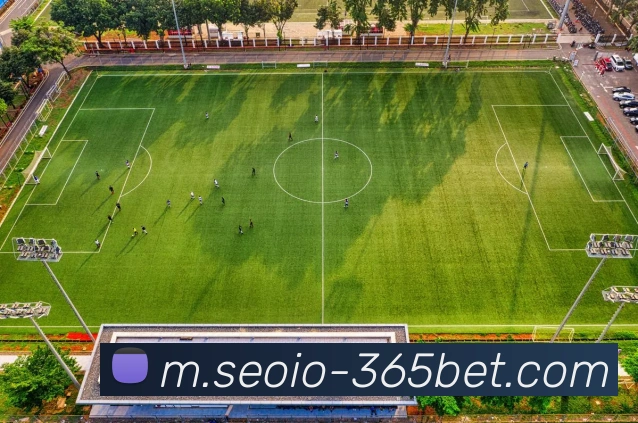 365bet平台生态图